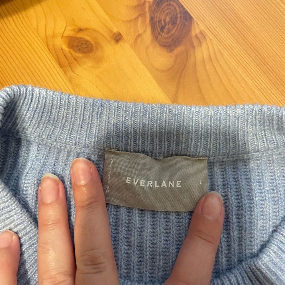 Everlane cashmere crew neck sweater
